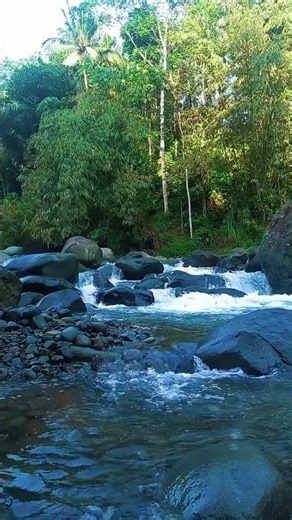 Calm with the River 🌊 | 10 Seconds ASMR #short #asmr #nature