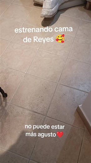 Regalos para la Princesa: Cama de Reyes y Más