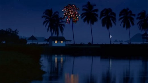 Is it safe to put Christmas lights on a palm tree? Christmas decorating safety tips