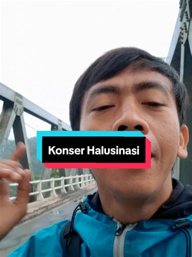 Monyet di Jembatan Citarum Lama