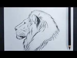 How To Draw a Lion's Face Step By Step || Easy Animal Drawing