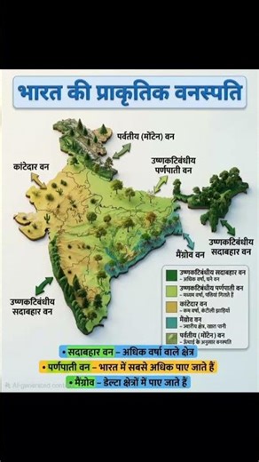 भारत की प्राकृतिक वनस्पति shorts notes by maping in easy way