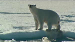 Shell’s Arctic gamble