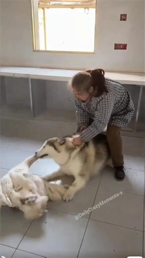 ​Dog Vs Swan: Hans Ka Asli Gussa! 🔥 Don't Mess With A Swan 😂 #shorts