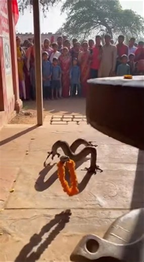 क्या चमत्कार है भोलेबाबा P5#bhakti #snake #shankar #mahadev