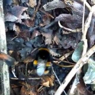 2.2K views · 10K reactions | 3️⃣ Shhh! Behind today’s door is a...