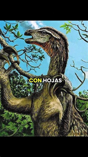 Therizinosaurus #historia #datoscuriosos #dinosaurios
