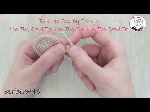 03 - Cute Little Turtle - The Body