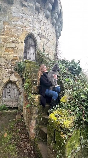 Wolves & Castles 🐺 #wolf #wolves #castle #lordoftherings #fantasy #bluewolf | Anneka Svenska
