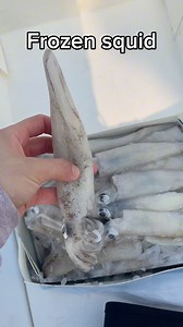 1.7K views | Here’s what’s biting! Sea bass on a slow pitch jig, bluegill on nightcrawlers, and snapper with frozen squid. What’s your go-to bait? #anglerlife #catchoftheday #takemefishing #livebait | Take Me Fishing | Facebook