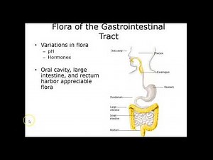 BIO 235 Chapter 13 Lecture