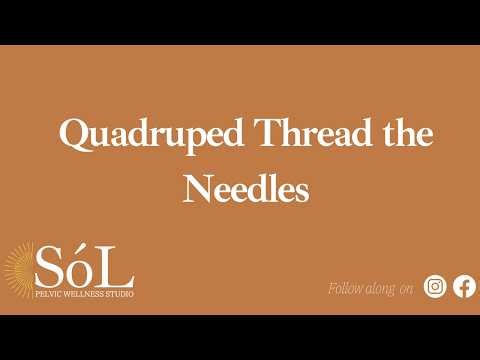 Quadruped Thread The Needles