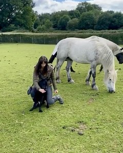 313K views · 265 reactions | Proper Socialising.... Follow @lottiehanah for more adventures of Nova. #dogs #dogsofinstagram #southenddogtraining | Southend Dog Training | Facebook