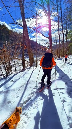 Saturday's hike took us to the Chesterfield Gorge for 6.25 miles on the East Branch Trail with snowshoes, skis and boots in sub zero windchills, the sun was out and the river was flowing. The ice blocks along the water were enormous, the trees and boulders freshly snow covered and the small springs still flowing for dog water. At mile marker 3, we visited Bakers Dam which still partially stands today with its undershot wheel configuration after being ravaged by floods. Miles of trails here for a