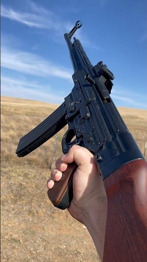Mauser STG44 22.lr reproduction (blue-line solutions/Mauser STG)