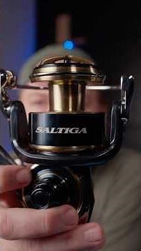 Daiwa's Most Expensive Big Game Saltwater Spinning Reel