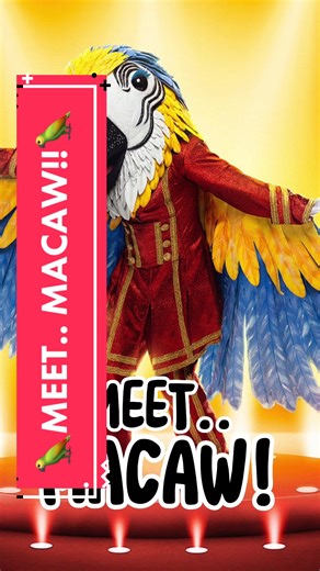 Unique Macaw Costume Idea for Masked Singer Season 9