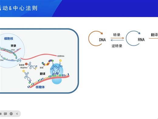 如何高效提取RNA-20231130直播回放