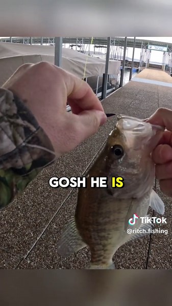Winter Crappie Fishing in Oklahoma Marina