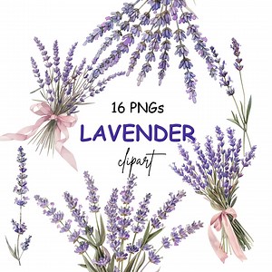 Lavender Flowers Watercolor Clipart, Lavender Graphics, Purple Floral Botanical Clipart, Wedding Flowers, Provence Lavender - 16 Pngs - Etsy