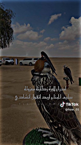 #الشاعر_ادريس_الشيخي #شعراء_وذواقين_الشعر_الشعبي #شعر_شعبي #مصمم_حوار #تصميم_فيديوهات🎶🎤🎬 #ليبيا🇱🇾