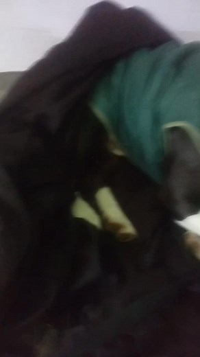 Corina Castillo on Reels