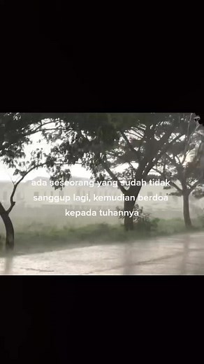 Captivating Rainy Day Scenery in Nature