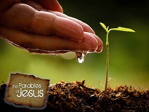 21K views · 2.2K reactions | The Parable of the Weeds, Mustard Seed...