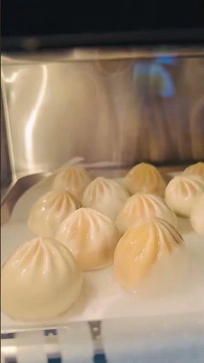 Nuwave Combi Steam Oven, 16Qt All in One Stainless Steel Multi Cooke