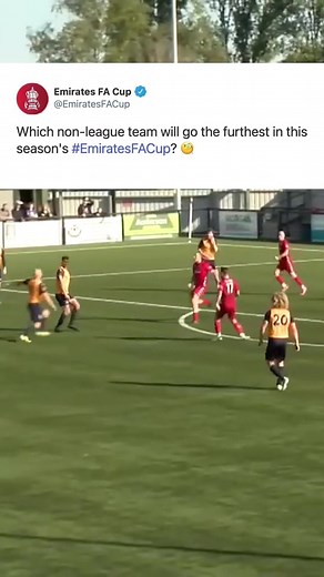 Exciting Highlights from the Emirates FA Cup Match