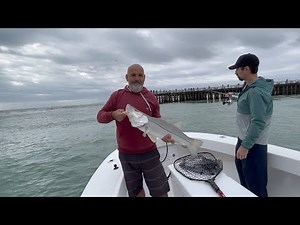 Live Bait Snook Fishing the World Famous Sebastian Inlet Florida!!!