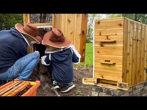 AZ Bee Hive Install