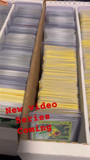 Bought a Pokemon card collection on FB marketplace