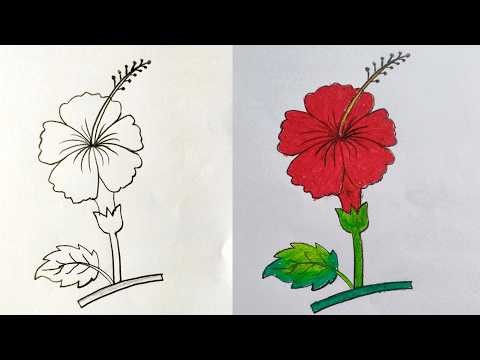 Flower Drawing easy | Simple Flower drawing for school students’ idea | How to draw of flower easy