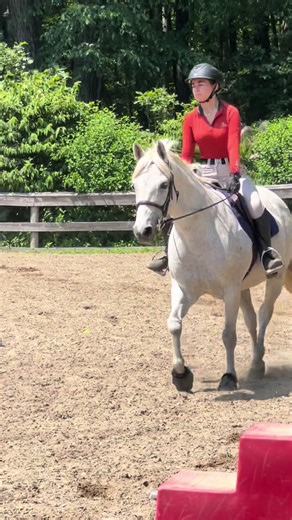 most perfect stitcher yesterday with our first real course since september💗 #pony #horse #hunterjumper #fyp #moromonies #astitchintime #greyhorse #ponies #horses #fypシ #equestrian #horsesoftiktok #viral #greenhorse #largegreen2026 #ponyfinals2026 #greypony