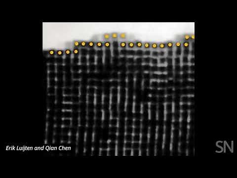 Watch nanoparticles snap together into crystals | Science News