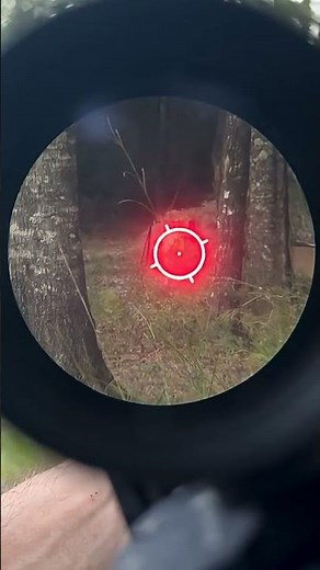 Aiming Down Sights with a vortex 3X Magnifier and EOTech XPS holographic sight #vortexoptics #ard