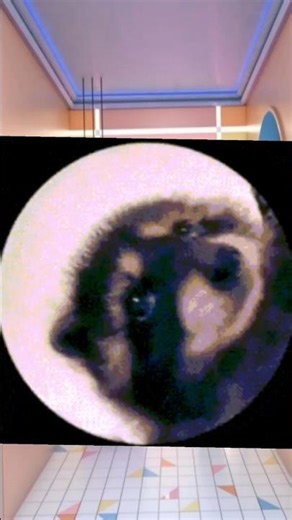 "Falling Tiles Compilation | Satisfying