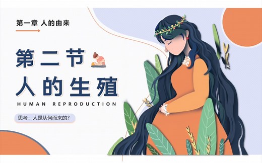 《人的生殖》七下生物课件PPT（人教版）