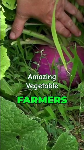 Growing Amazing TURNIPS 🌱 The Survival Crop for Every Garden (Super Mario Brothers 2 Vegetable)