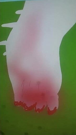 Toothless vs light fury ep 1