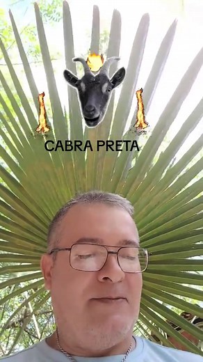Reza da Cabra Preta Milagrosa: Tradição e Poder