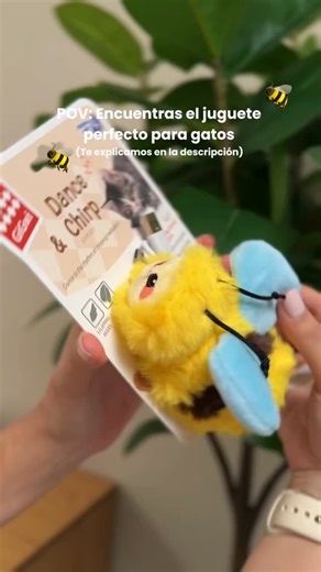 6.2K views · 27 reactions | El juguete favorito de tu michi  El Dance & Chirp Bee imita el movimiento y sonido de una abeja real, despertando su instinto cazador  Sus alas suaves y diseño tierno lo mantienen entretenido por horas, ayudando a reducir el estrés y el aburrimiento. Además, tiene batería recargable y está hecho con materiales seguros, para que tu gato juegue feliz y tú sin preocupaciones.懶 | Gigwi Costa Rica | Facebook