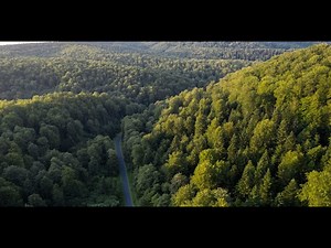 A Honeymoon Party Accidentally Triggered A Buried Bomb In Ukraine, Injuring The Bride And Killing Her Brother