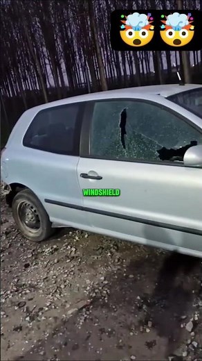 I Tested Windshield Durability With a CHAINSAW