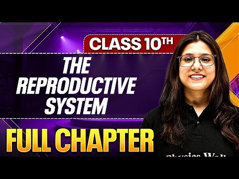 THE REPRODUCTIVE SYSTEM Complete Chapter In One Shot ( Theory + PYQs ) | Class 10 ICSE Board