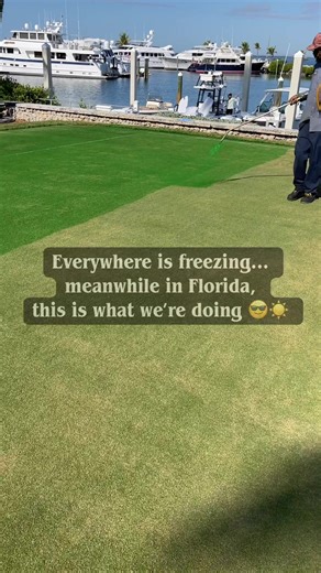 Only in Florida ☀️ #freezingcold #weather #florida