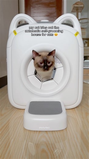 17K views · 488 reactions | if your cat hates being brushed, this is a fun way to lure them into grooming and collect those hairballs! 來 unboxing and setting up the automatic self-grooming house for cats by PawSwing ☁️ #cats #catreels #catsoffb #cutecats #catgroomer #catgrooming #pets #FunnyCats #siamese #catoftheday #catsoffacebook #catmemes #catlover | TOFU | Facebook