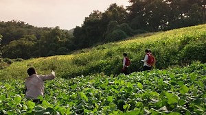 Serve.the.People.2022.1080p.WEB-DL.CM