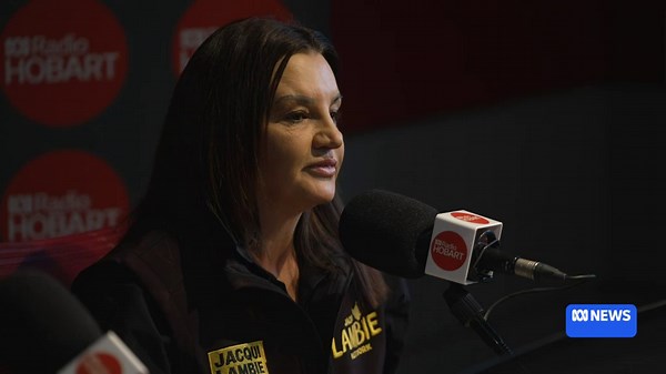 Jacqui Lambie suggests putting a 'tent-like' roof on Launceston's York Park stadium